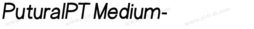 PuturalPT Medium字体转换